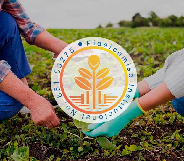 ficrein respaldo financiero para empresas